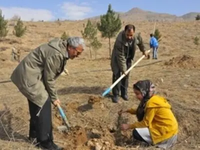 غرس نهال در پتروشیمی خراسان