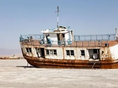 کشف ماهی و سگ آبی در دریاچه ارومیه