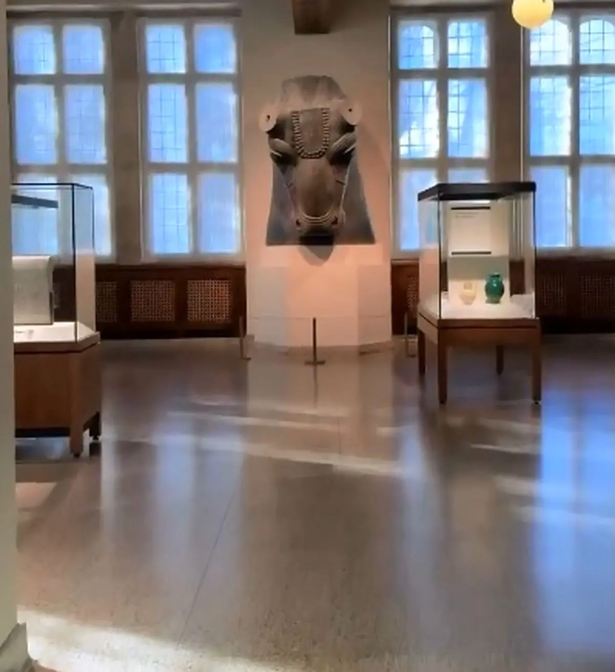 تندیس «سر گاو» تخت جمشید در موزه دانشگاه شیکاگو + فیلم