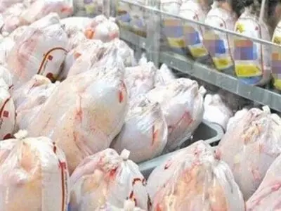 توزیع بیش از 330 تن گوشت مرغ در هرمزگان