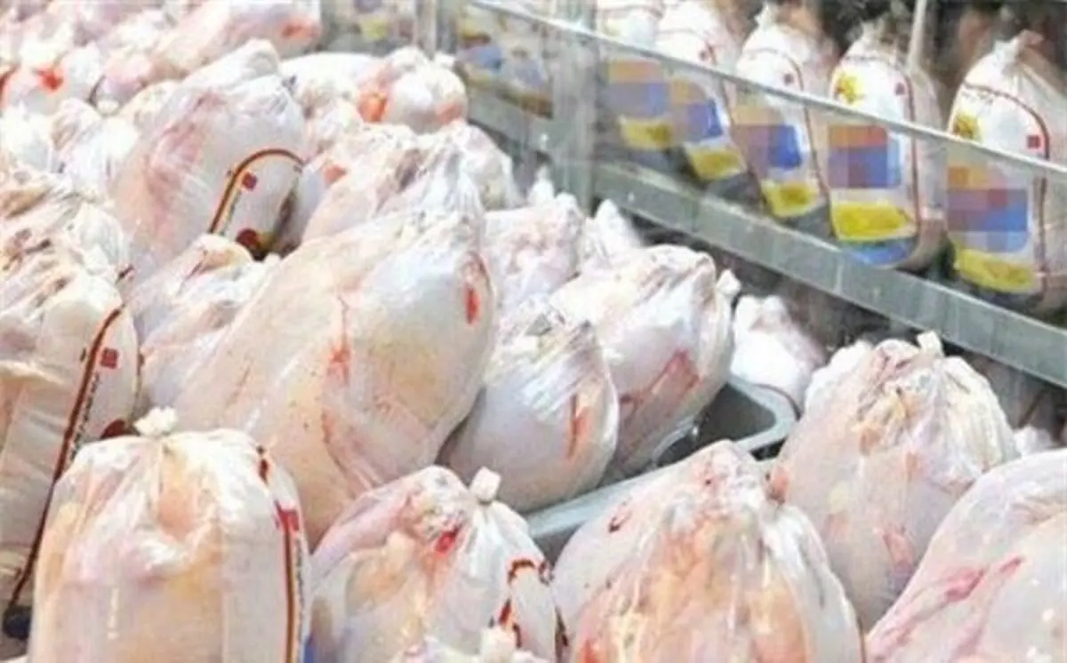 توزیع بیش از 330 تن گوشت مرغ در هرمزگان