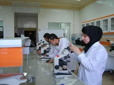 آغاز طرح ملی کارآفرینی برای دانشجویان