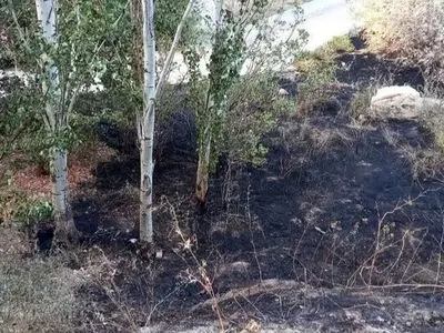 آتش‌سوزی در پارک کلانتر تبریز