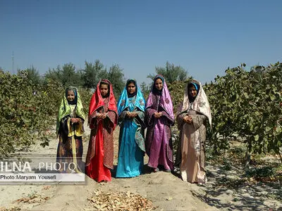 دومین جشنواره پسته قشلاق آذرشهر