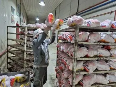 تداوم رصد و پایش تعزیراتی کشتارگاه‌ها و سردخانه‌های آذربایجان‌شرقی