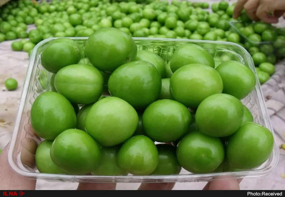 خواص گوجه سبز، این خوشمزه پر‌طرفدار 