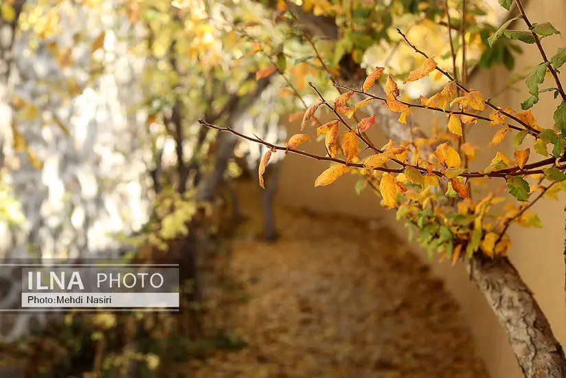 پاییز در روستای احمدآباد دماوند