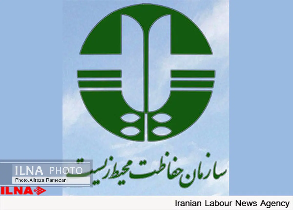 کشف فسیل‌های ٧ میلیون ساله در نورآباد لرستان 