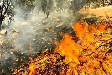 مهار آتش‌سوزی در ارتفاعات منگشت ایذه؛ تلاش ۳۰ ساعته نیروهای یگان حفاظت منابع طبیعی