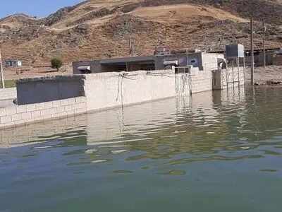 هجوم مار و عقرب‌ها به روستاهای مسجد سلیمان/ فاصله زیاد روستاها با خانه بهداشت