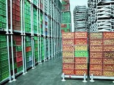 لزوم صدور گواهی‌های بهداشت گیاهی مطابق با الزامات قرنطینه‌ای کشورهای مقصد