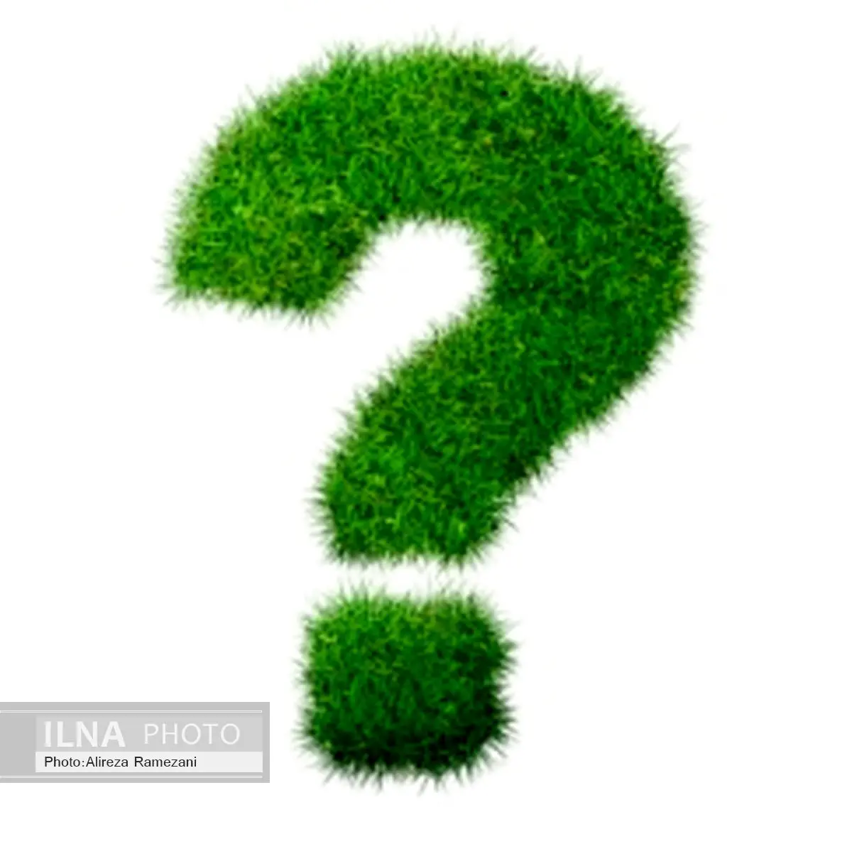 خطیبیَ، جعفری و وقریمقدم گزینههای سرمربیگری شهرداری هستند