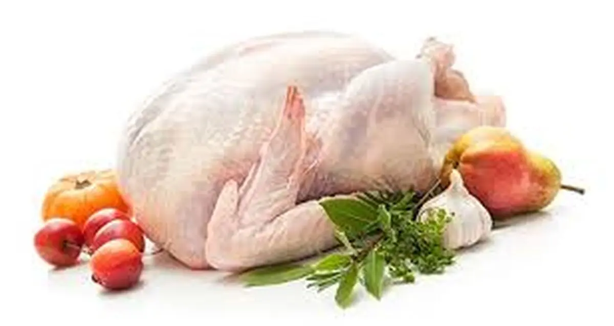 مزایا و خطرات مصرف گوشت بوقلمون