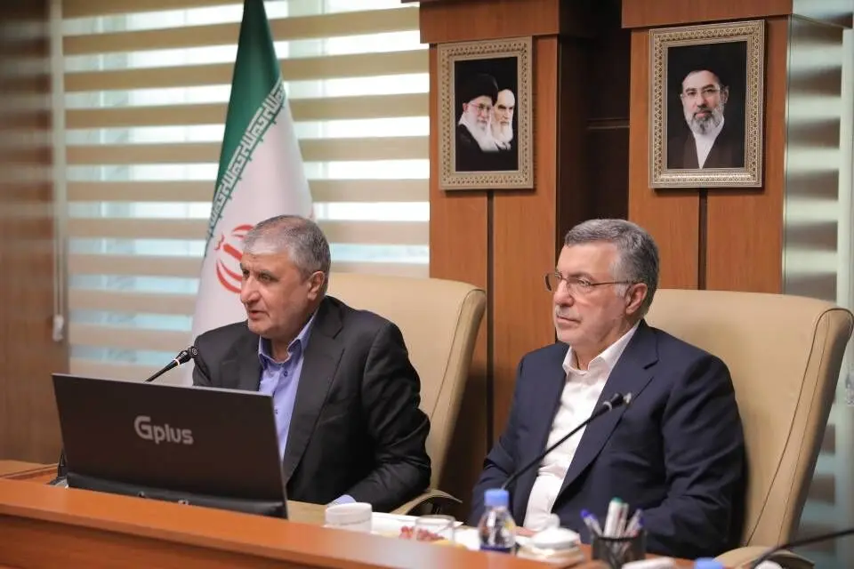 رئیس سازمان انرژی اتمی:
