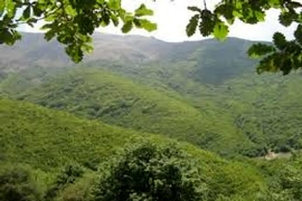 رشد ۳۰ درصدی اعتبار تملک دارایی ها در بخش منابع طبیعی و آبخیزداری استان اصفهان