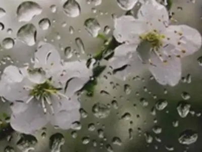 ادامه رگبار پراکنده‌ باران تا ۲ روز آینده در گیلان 
