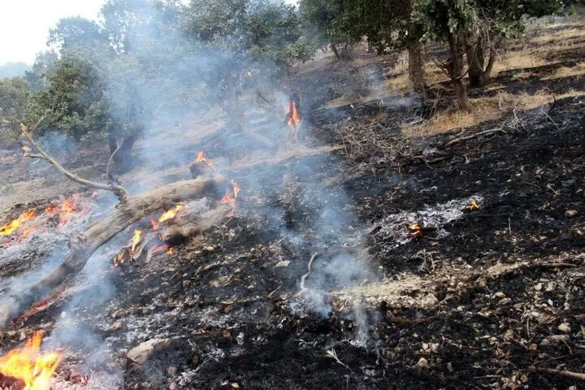 مهار و اطفاء چندآتش سوزی نقطه‌ای عرصه‌های منابع طبیعی گلستان