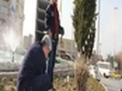 آذین بندی معابر شهر ایلام آغاز شد