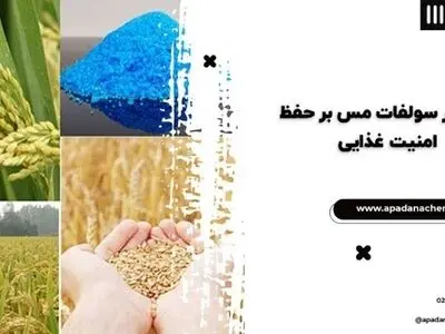 تاثیر سولفات مس بر حفظ امنیت غذایی
