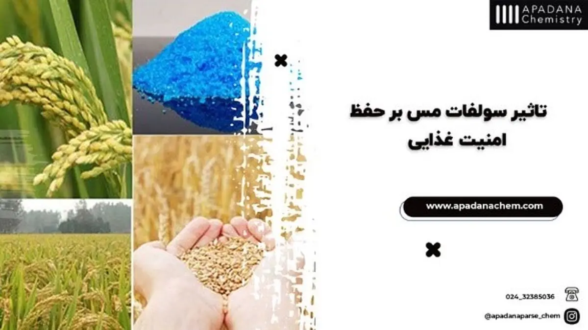 تاثیر سولفات مس بر حفظ امنیت غذایی
