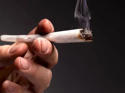 افزایش قدرت تخریب گل با دستکاری فرم‌های ژنتیکی آن/ «گل» حتی از «حشیش» هم ویران‌کننده‌تر است

