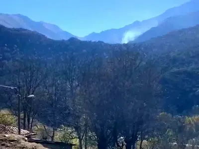 آتش‌سوزی جنگل‌های الیت چالوس ناشی از عوامل انسانی است؛ دود باقی‌مانده از درخت بلوط کهنسال و اطفای حریق کامل