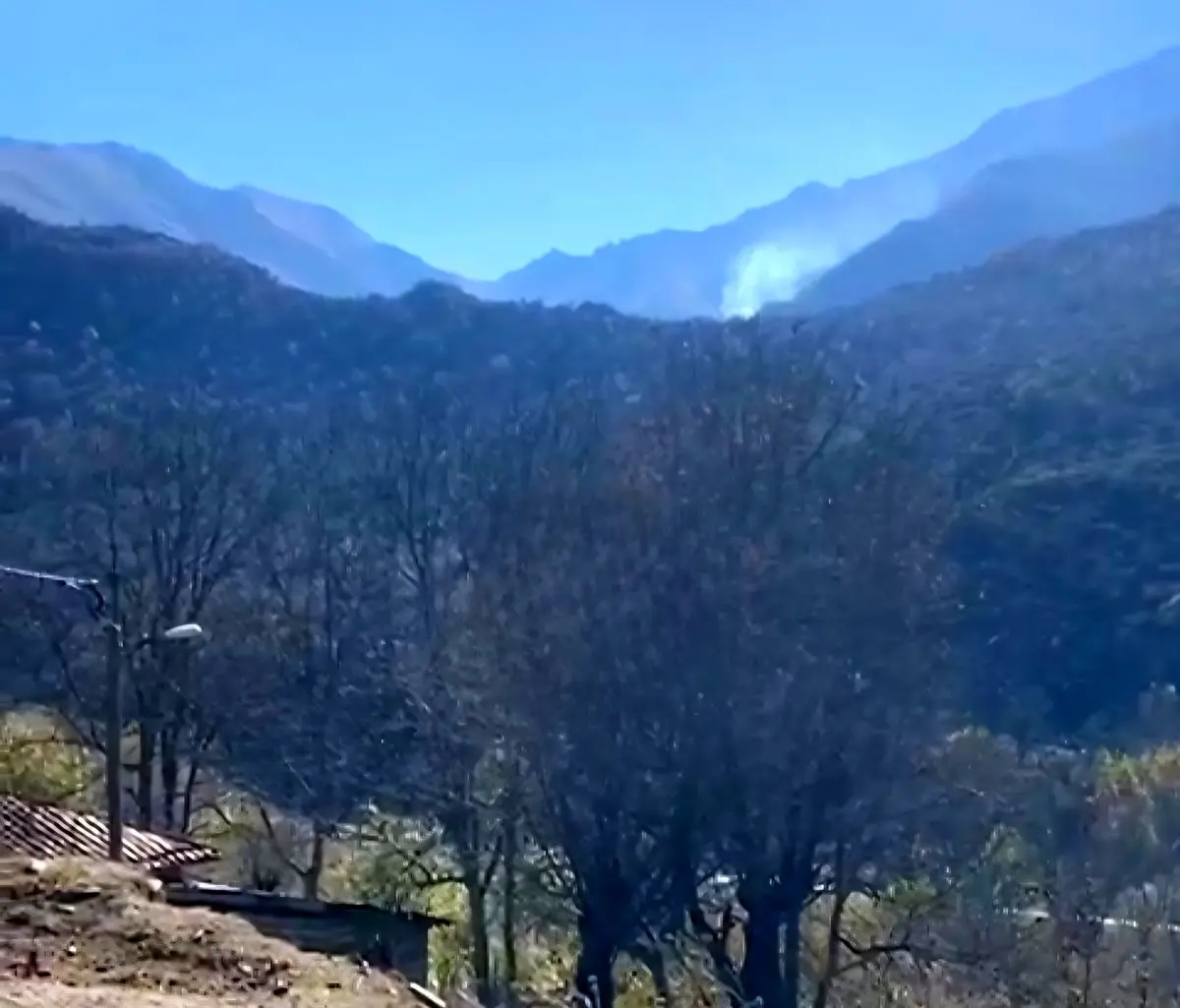 آتش‌سوزی جنگل‌های الیت چالوس ناشی از عوامل انسانی است؛ دود باقی‌مانده از درخت بلوط کهنسال و اطفای حریق کامل