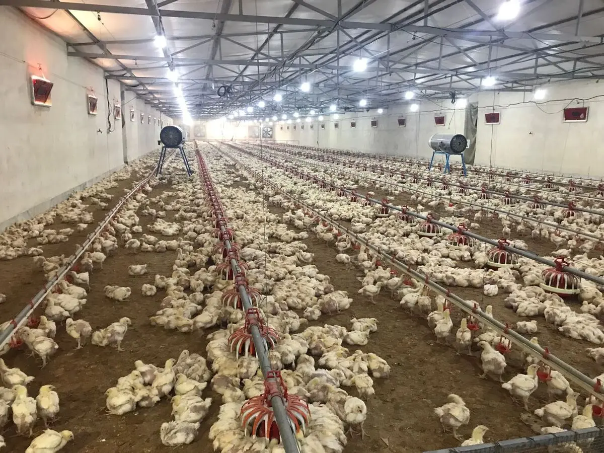 ثبت نام 500 بهره بردار سیستان و بلوچستان برای دریافت تسهیلات سرمایه در گردش حمایتی  