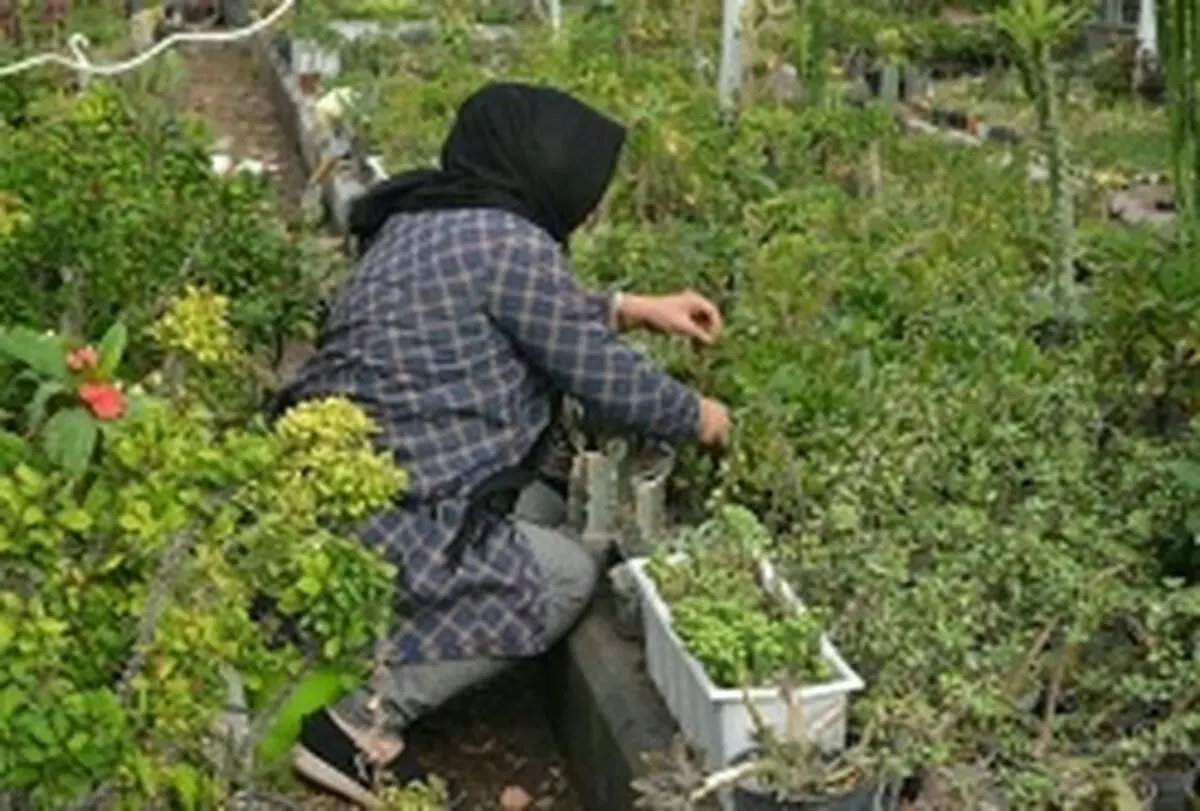  ایجاد چهار هزار فرصت شغلی برای محرومان البرزی
