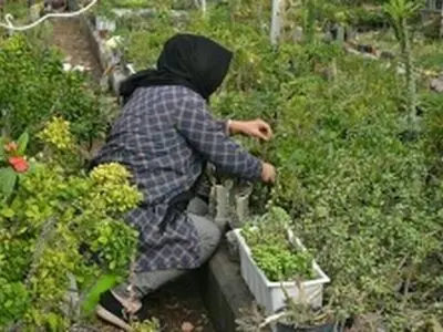  ایجاد چهار هزار فرصت شغلی برای محرومان البرزی