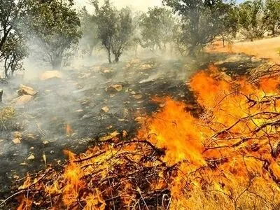 آتش سوزی در منطقه حفاظت شده جهان نما گرگان مهار شد
