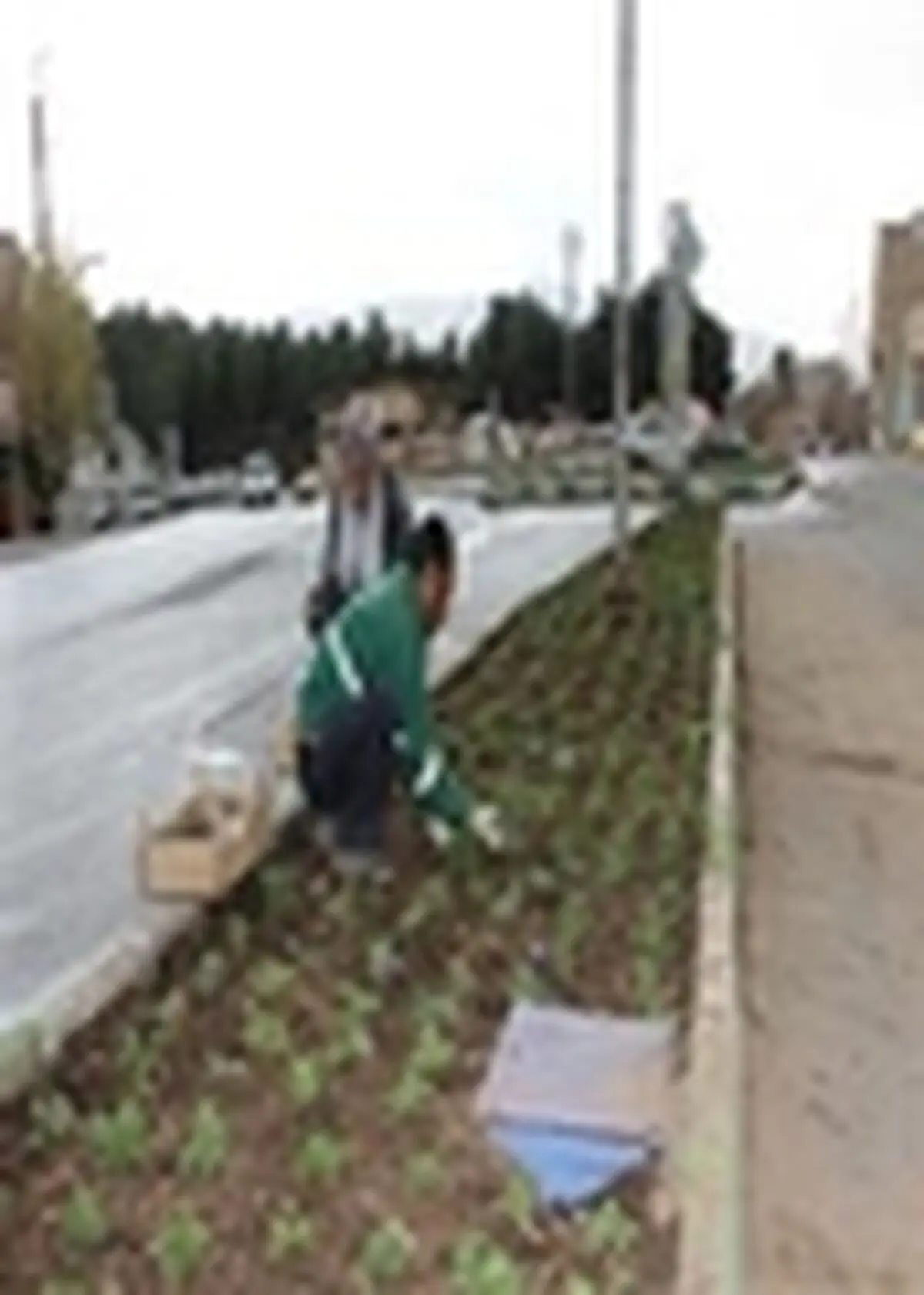 گلکاری فضای سبز شهر ایلام در دست اجراست