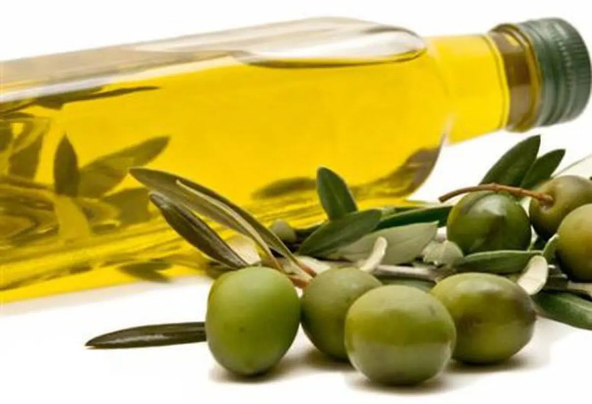اجرایی شدن قانون موافقتنامه بین‌المللی روغن زیتون و کنسرو زیتون 