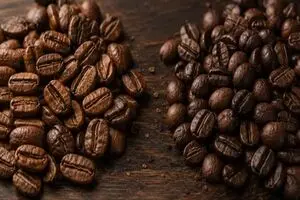 قهوه عربیکا یا روبوستا؟ بررسی کامل تفاوت‌ها و راهنمای انتخاب