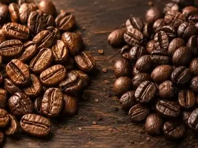 قهوه عربیکا یا روبوستا؟ بررسی کامل تفاوت‌ها و راهنمای انتخاب