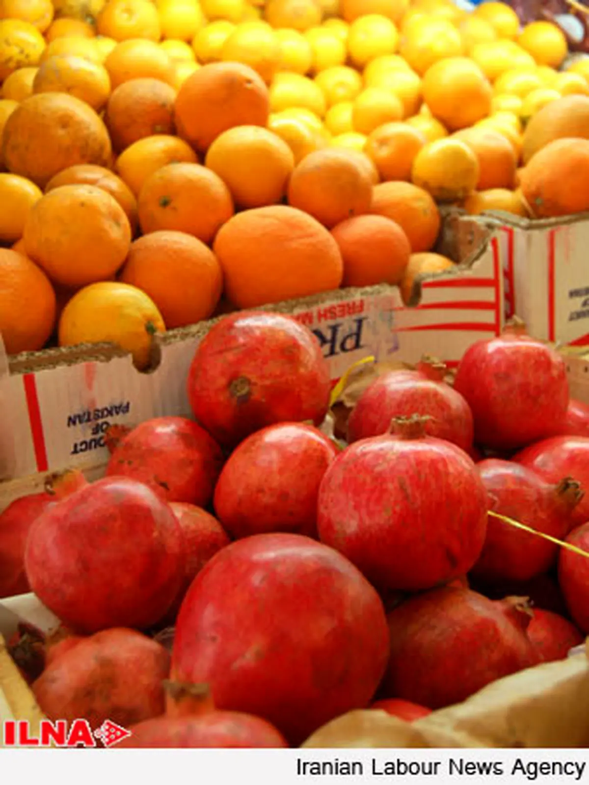 میوه شب عید استان تهران در ۵۰۰ مرکز عرضه میشود