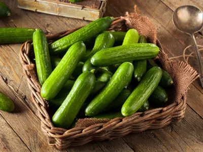 خوردن خیار به این افراد توصیه نمی‌شود