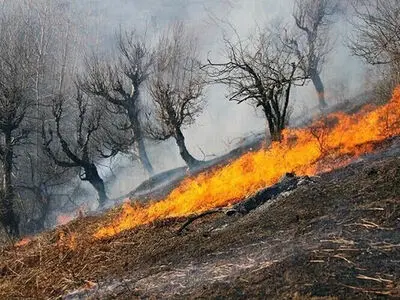 عملیات مهار آتش‌سوزی در الیت همچنان ادامه دارد