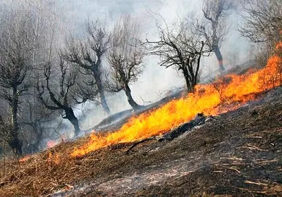 آتش‌سوزی در ۴ نقطه از کوه سیاه لنده کهگیلویه و بویراحمد تحت کنترل است