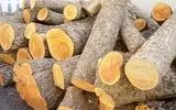 کشف چوب قاچاق در صومعه سرا