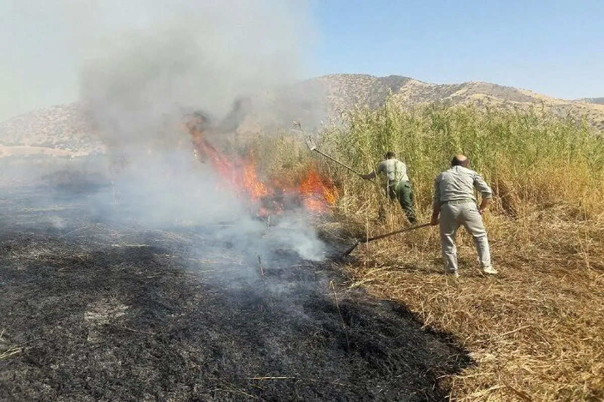 آتش سوزی در نیزارهای تالاب کانی برازان مهاباد مهار شد