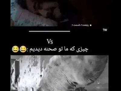 پشت‌صحنه خرس سریال پایتخت که بدون حضور بازیگران گرفته شد! + فیلم