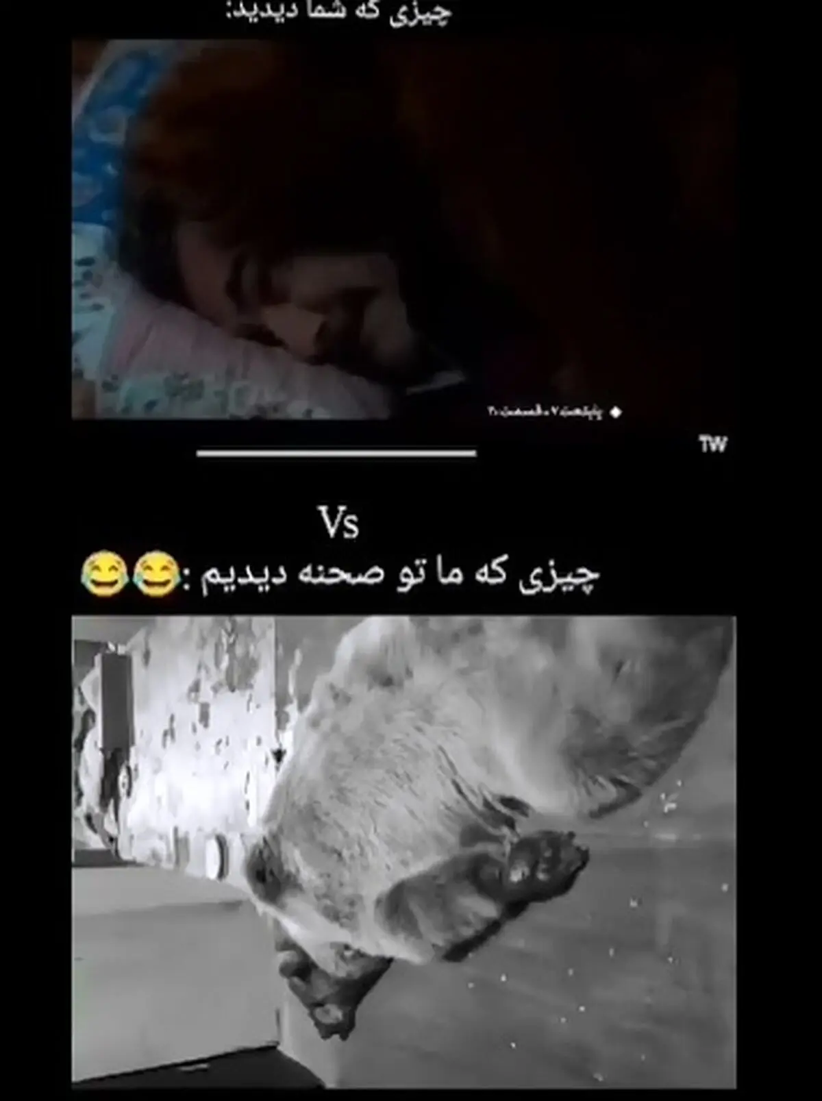 پشت‌صحنه خرس سریال پایتخت که بدون حضور بازیگران گرفته شد! + فیلم