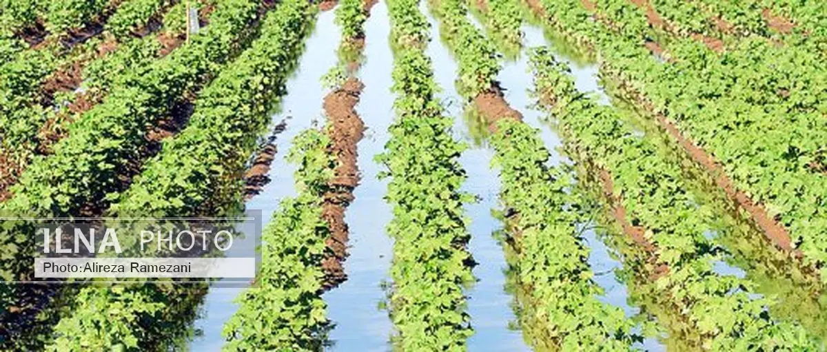 اجرای طرحهای اقتصاد مقاومتی برای کاهش 10.3 میلیارد مترمکعبی مصرف آب در بخش کشاورزی