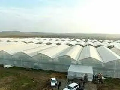 بیش از ۶۰ هکتار گلخانه در چهارمحال و بختیاری احداث می‌شود