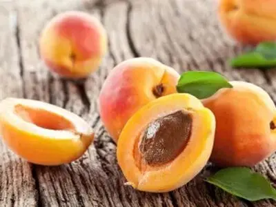 زردآلو را با چی نخوریم؟ ۴ ماده غذایی ناسازگار