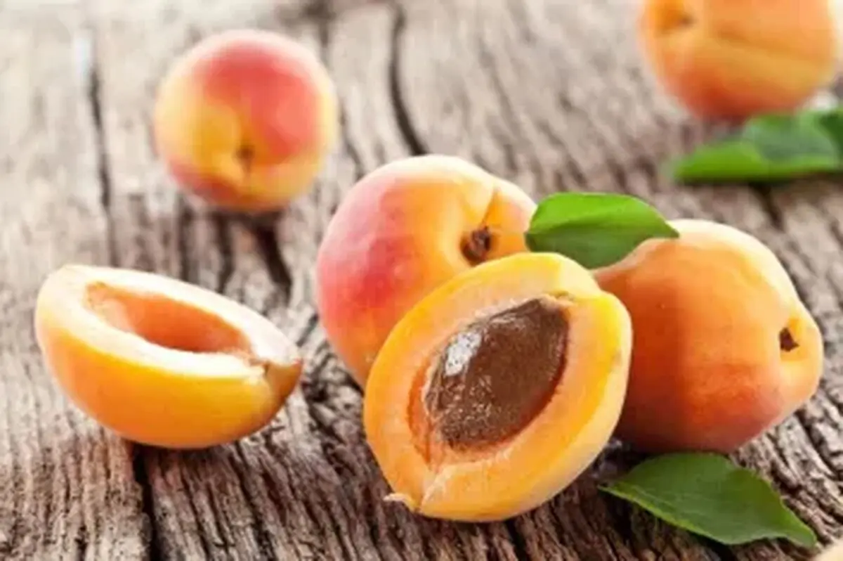زردآلو را با چی نخوریم؟ ۴ ماده غذایی ناسازگار