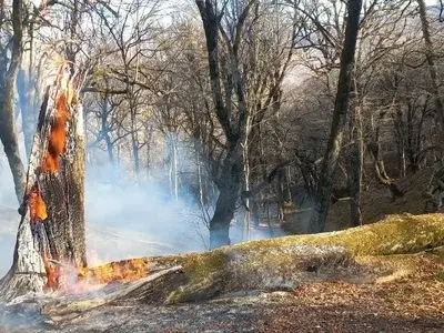 حریق در مناطق جنگلی چهار شهرستان گلستان