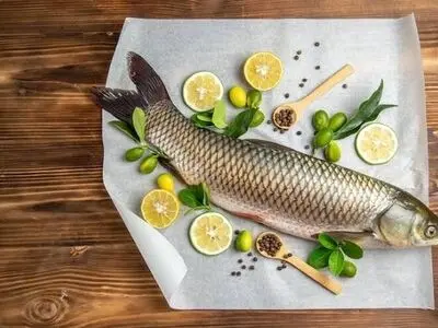 برگزاری نخستین مسابقه طراحی پوستر با موضوع مزایای مصرف آبزیان در استان مرکزی