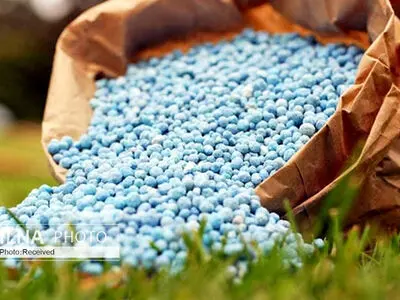 بروز بحران بی سابقه کود در کشاورزی خوزستان / لزوم ورود استاندار به موضوع